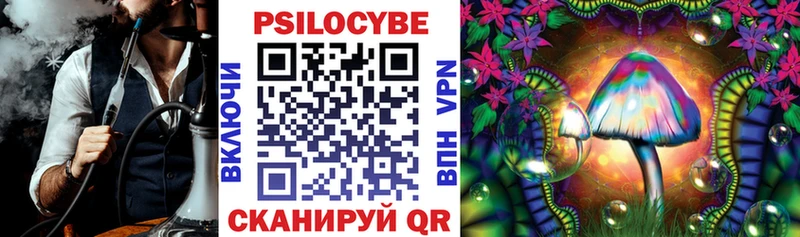 Галлюциногенные грибы Psilocybe Белореченск